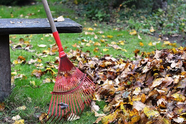 raking up leaves